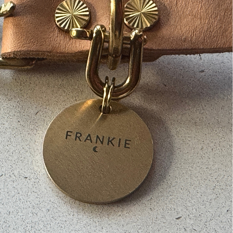 Dog collar with gold buckle and 'FRANKIE' tag on a light background