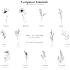 Illustrations of Australian birth flowers for each month with a brand name at the bottom.