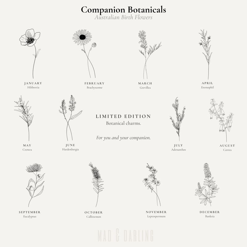 Companion Botanicals Charm
