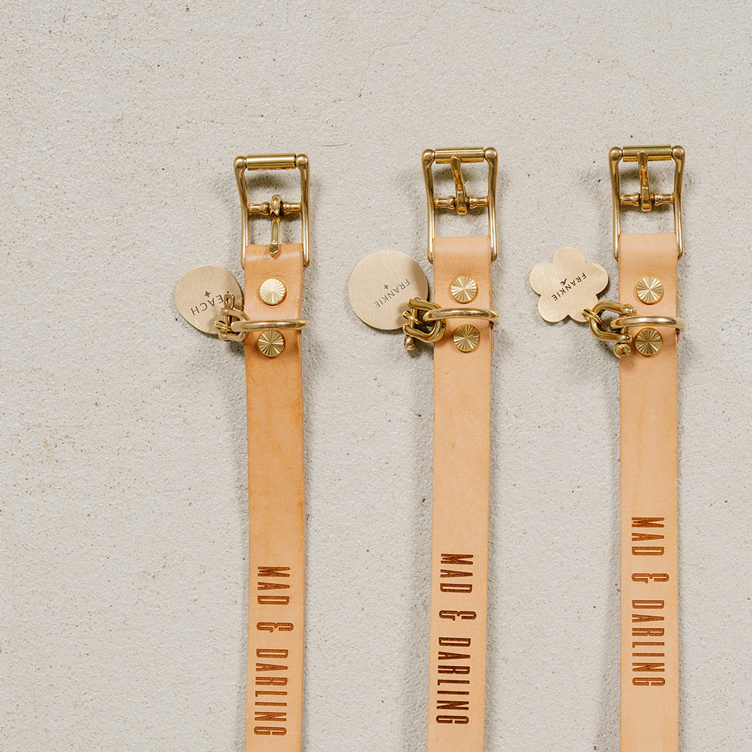The Signature Collar