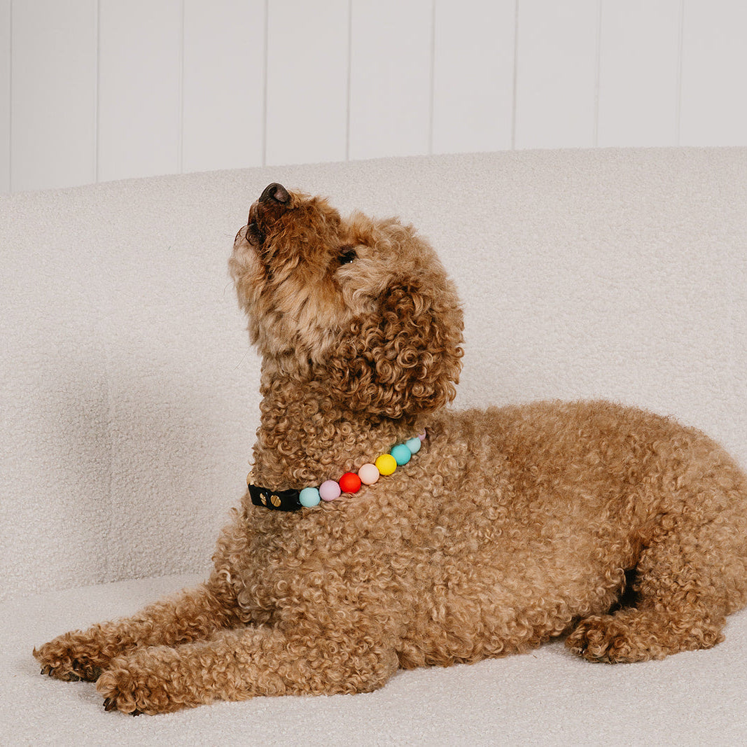 The Darling Collar