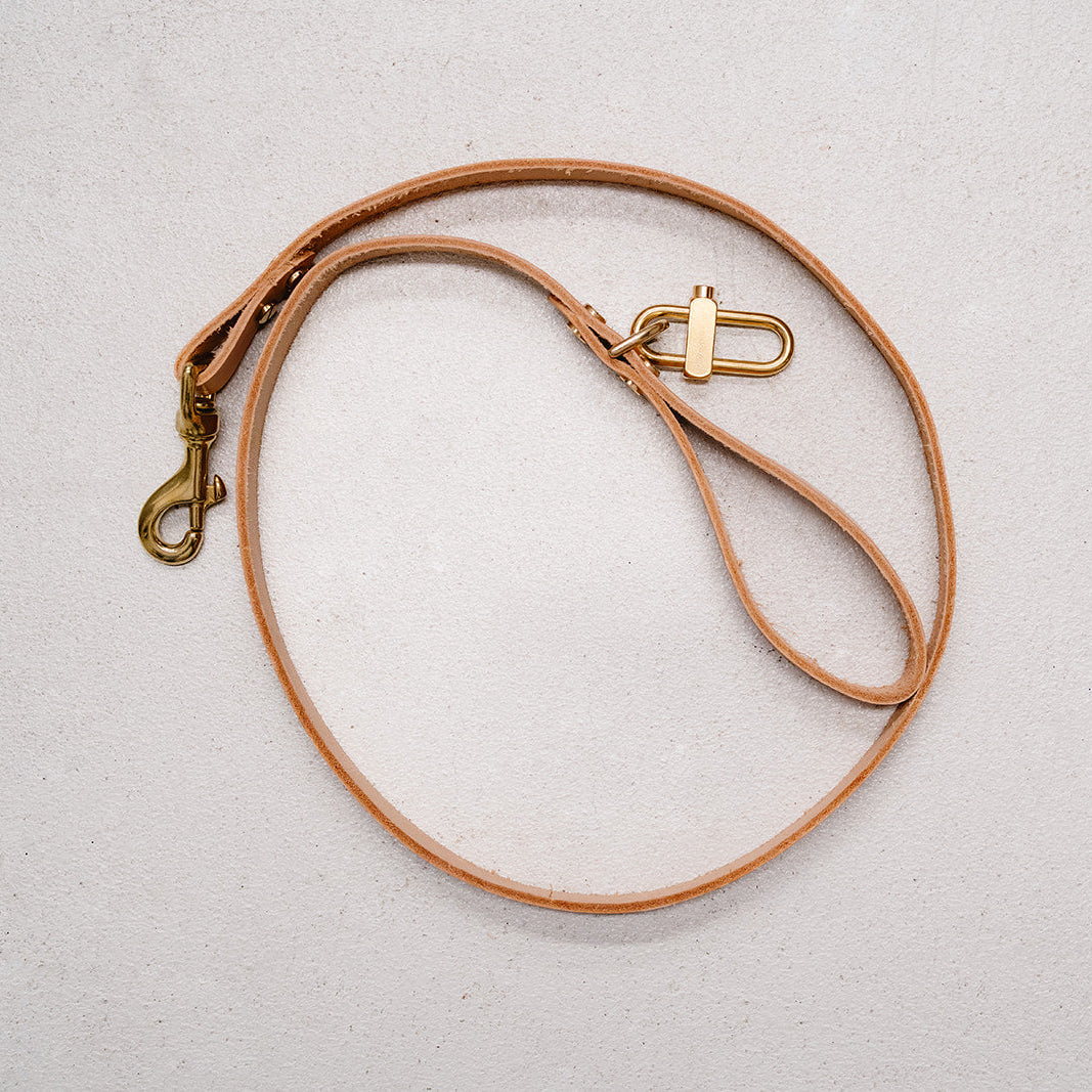 Brown leather dog leash with brass clasp on a light gray background