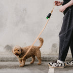 Person walking a dog on a leash with a spray nozzle against a concrete wall.