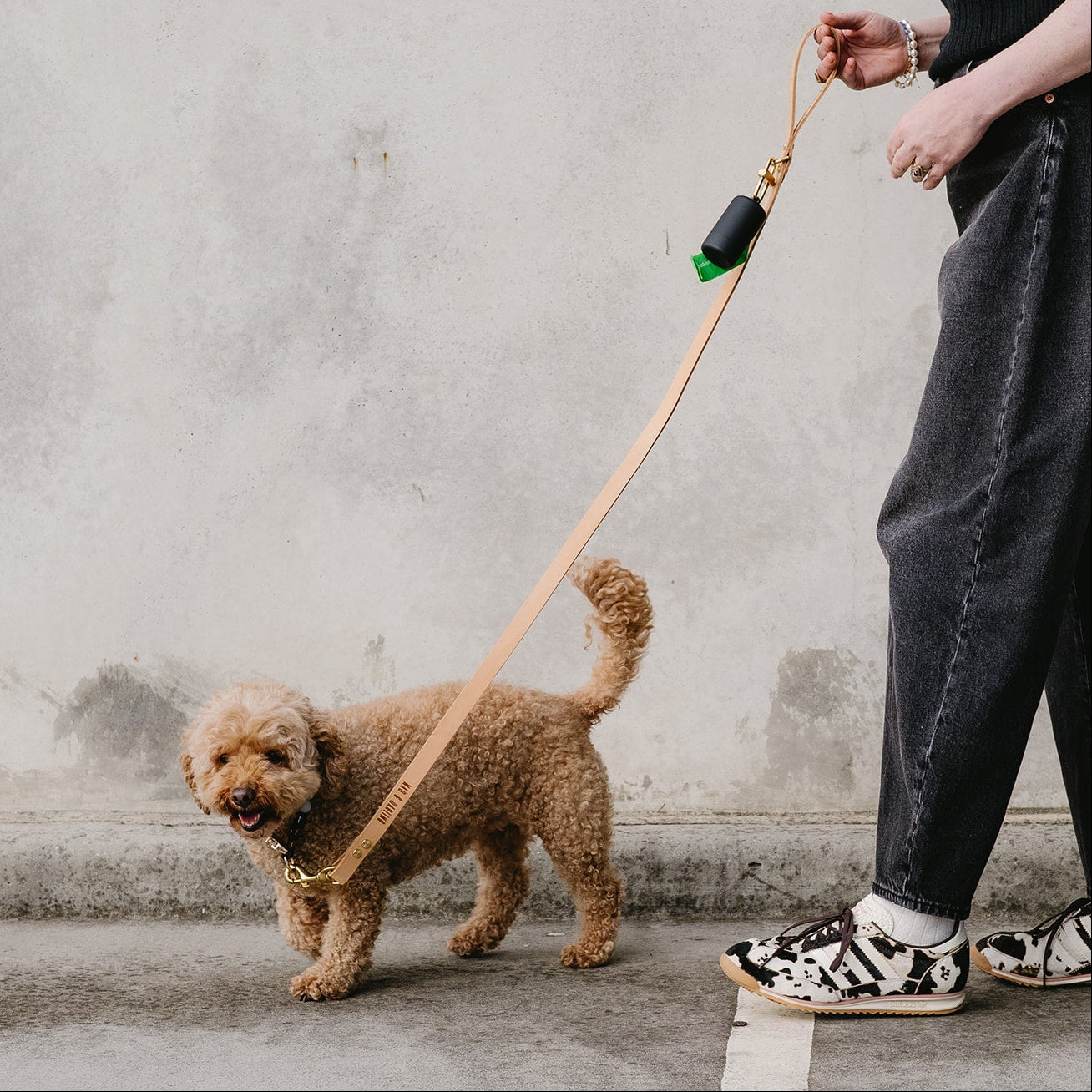 Person walking a dog on a leash with a spray nozzle against a concrete wall.