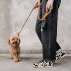 Person walking a small brown dog on a leash against a concrete wall.