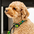 The Bouquet Collar