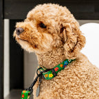 The Bouquet Collar
