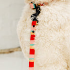 White dog sitting on a white floor with a red and white leash, next to a plant.