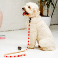 The Candy Lead