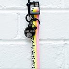 The Disco Collar