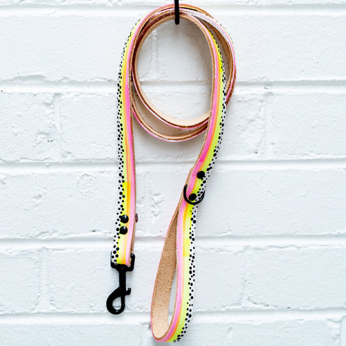 The Disco Lead