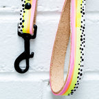Palm tree hook with dog leashes on a white brick wall