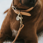 The Signature Collar
