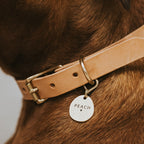 The Darling Tag