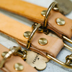 Close-up of a leather dog collar with gold hardware on a light background