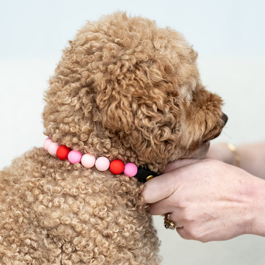 The Darling Collar