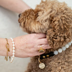 The Darling Collar