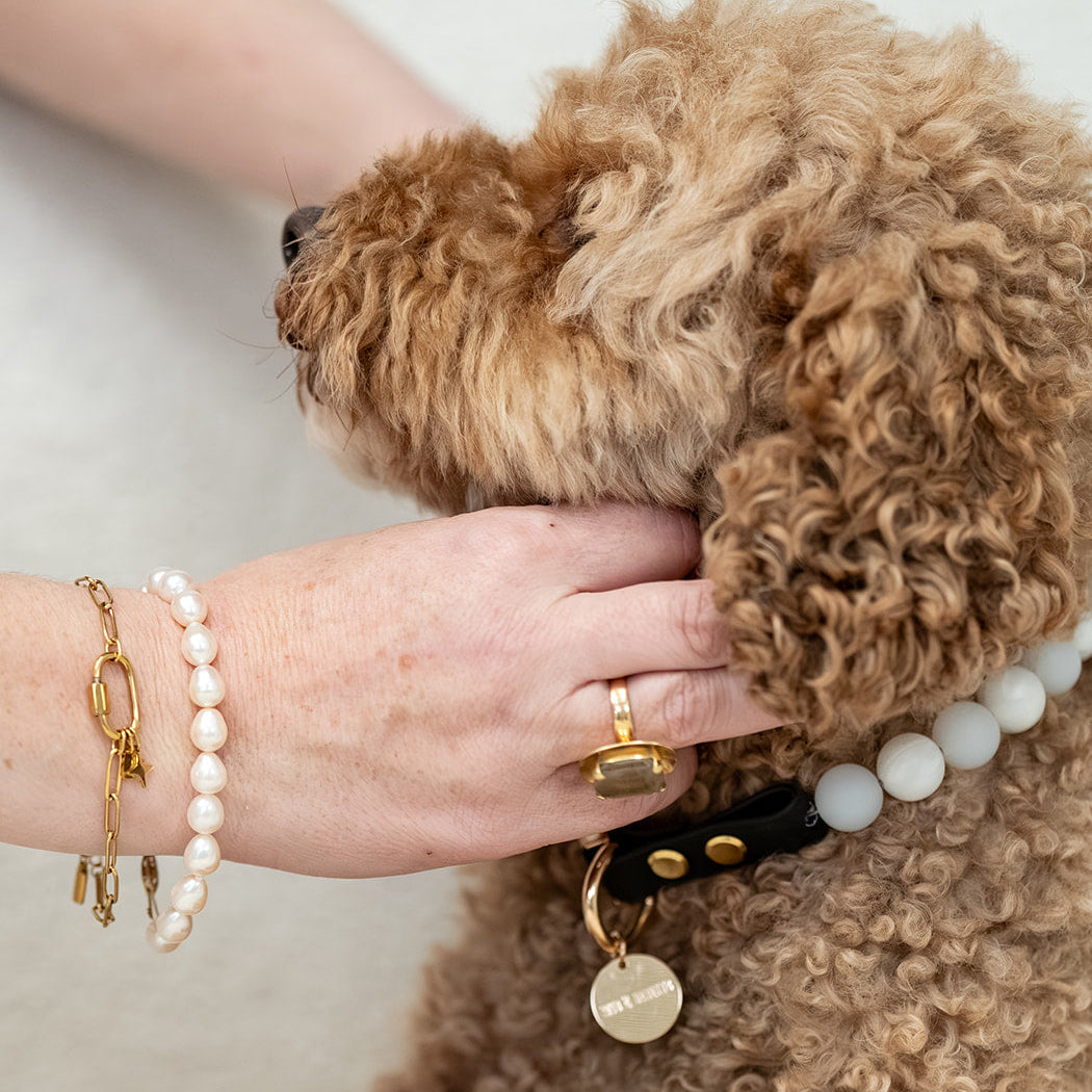 The Darling Collar