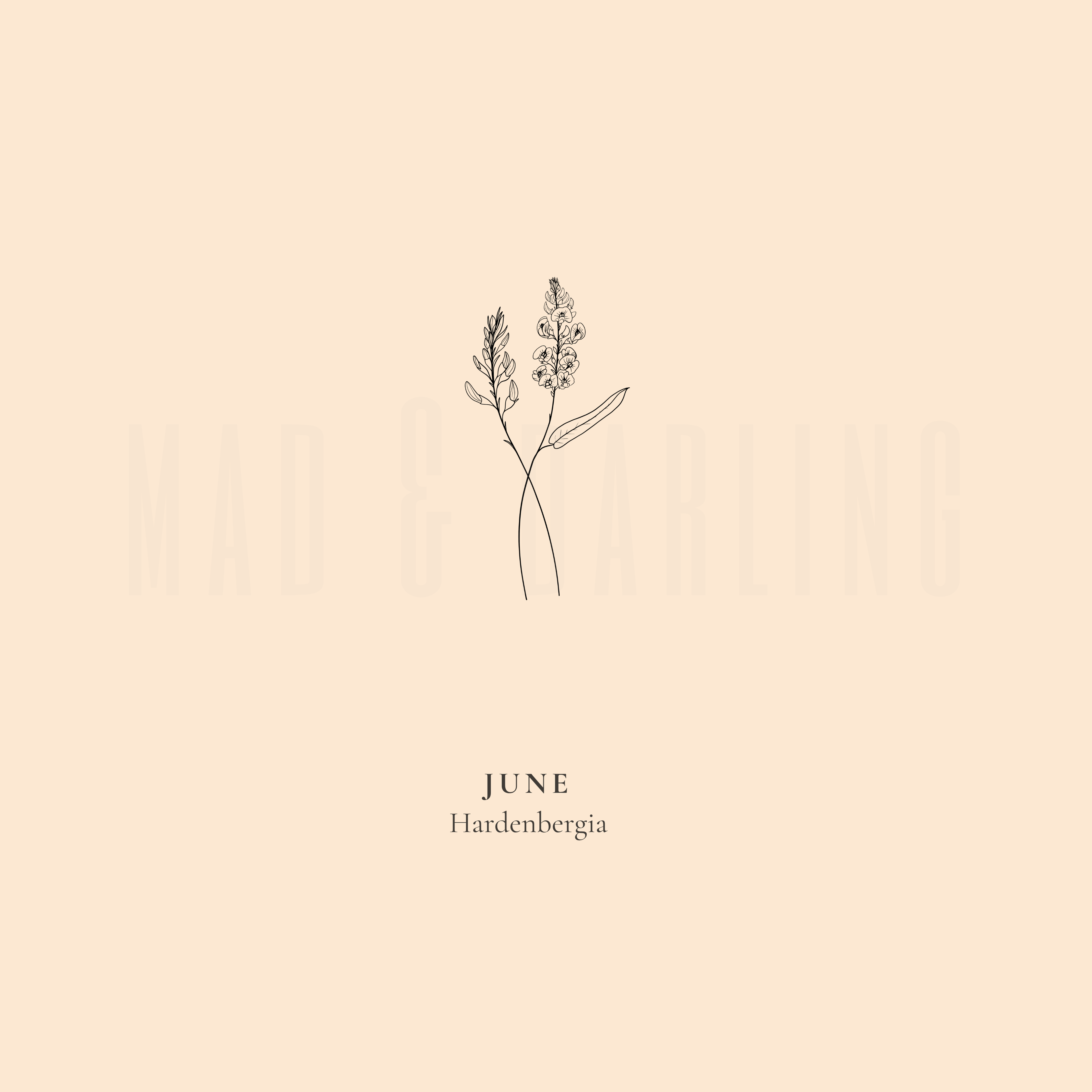 Companion Botanicals Charm