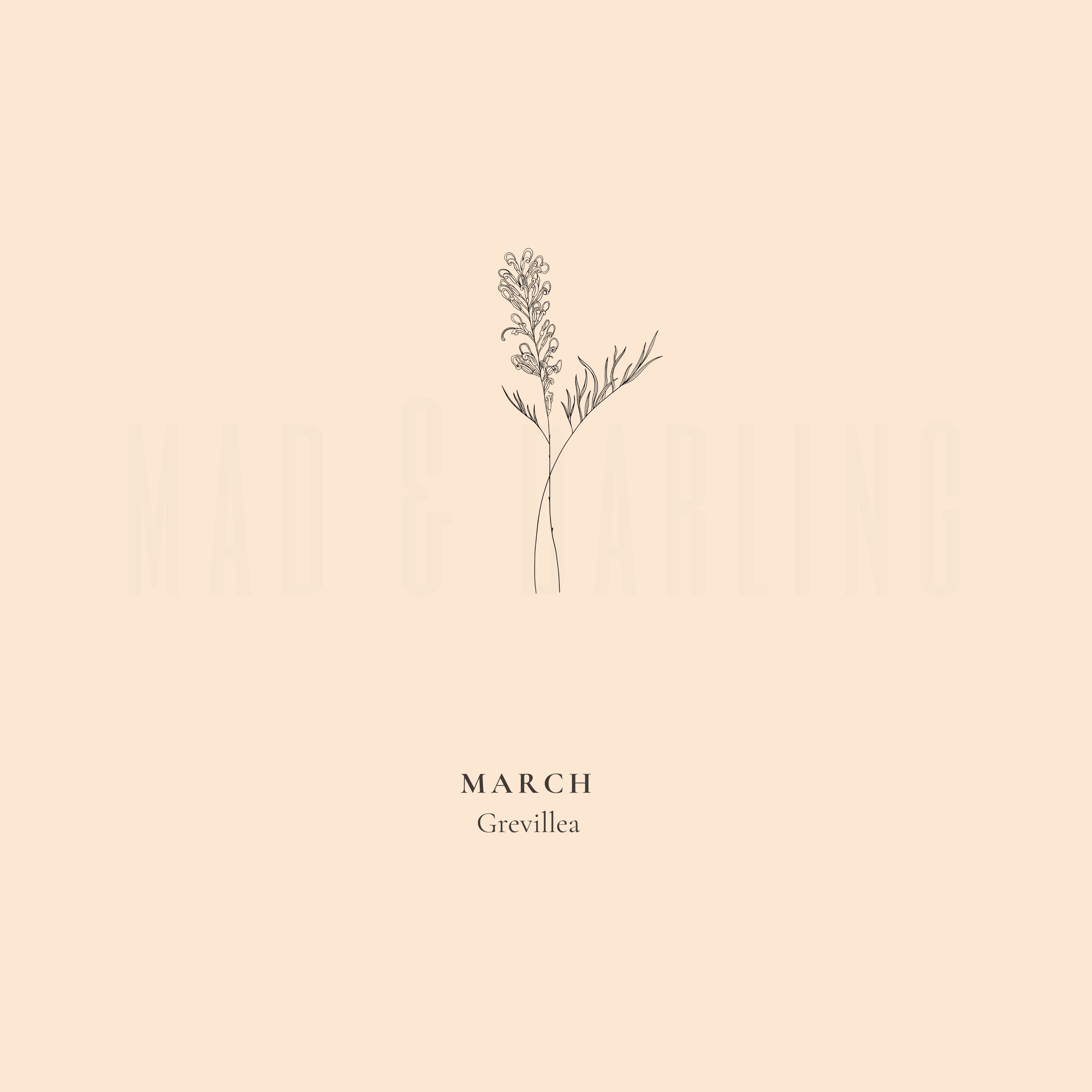 Companion Botanicals Charm