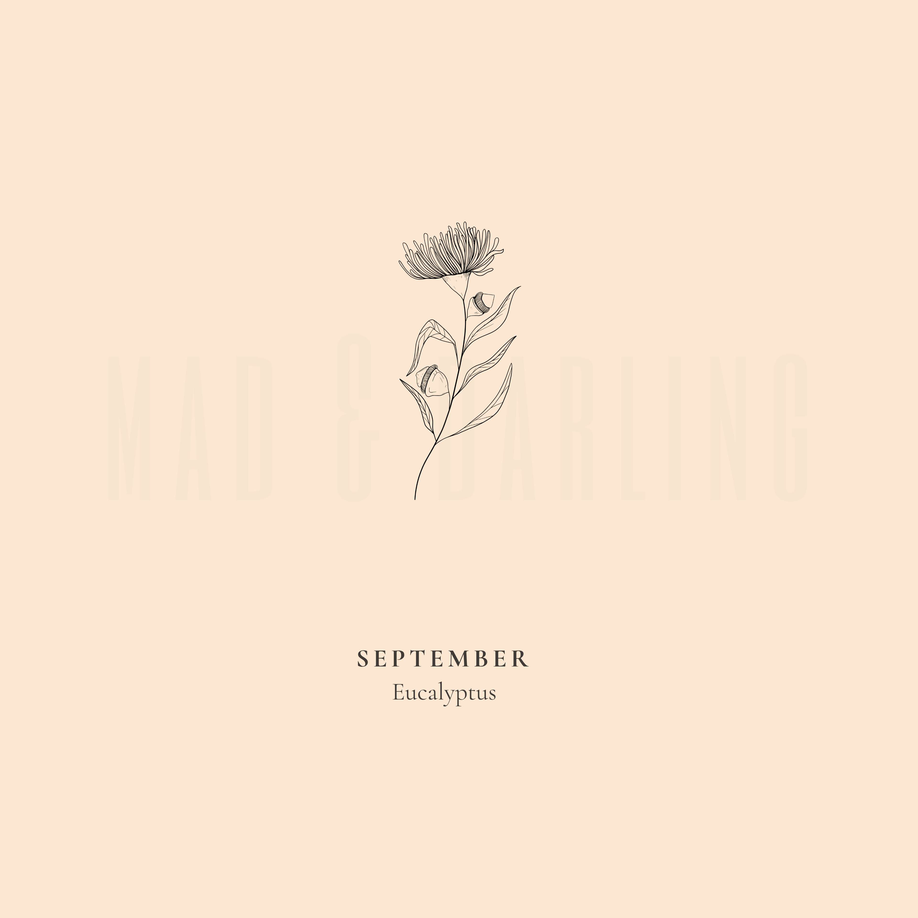 Companion Botanicals Charm