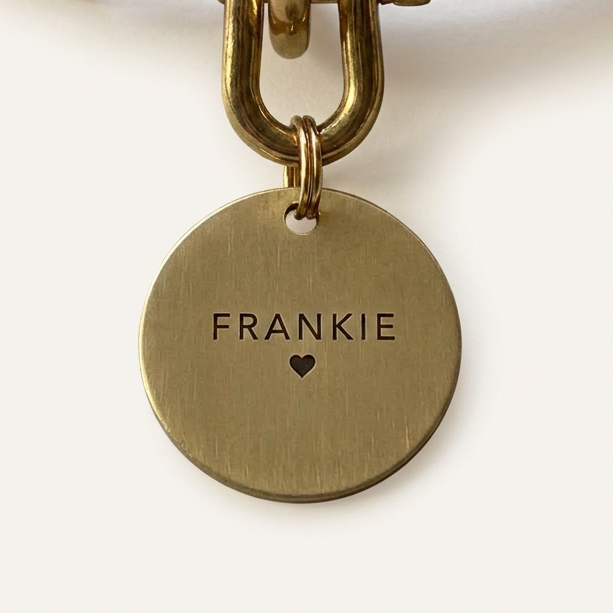 Brown leather dog collar with gold hardware and a round brass tag engraved with 'FRANKIE'.